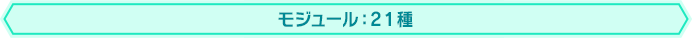 モジュール：21種