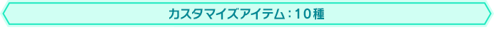 カスタマイズアイテム：10種