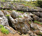 长江西陵峡岸边发现石林