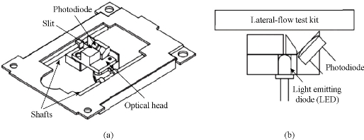 D:\xwu\Nano Biomedicine and Engineering\Articles for production\排版\8(3). Wang Kan\fig\wkt2.jpg