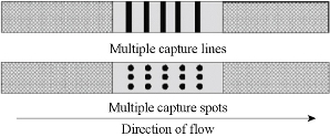 D:\xwu\Nano Biomedicine and Engineering\Articles for production\排版\8(3). Wang Kan\fig\wkt11.jpg