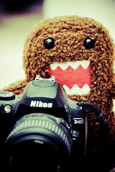 domo kun