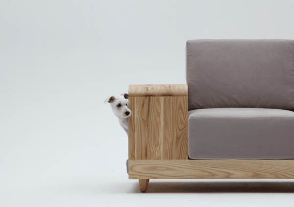 the dog house sofa