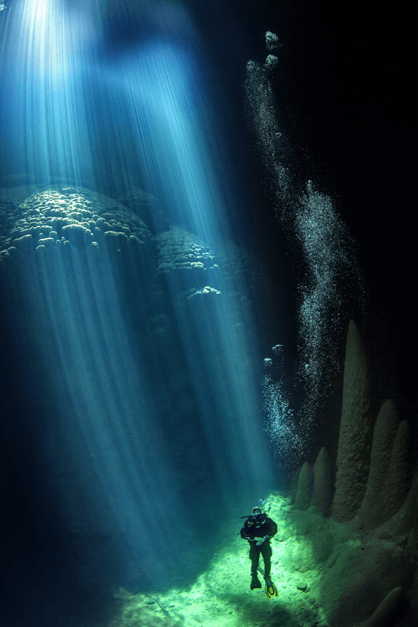 Magical Underwater World