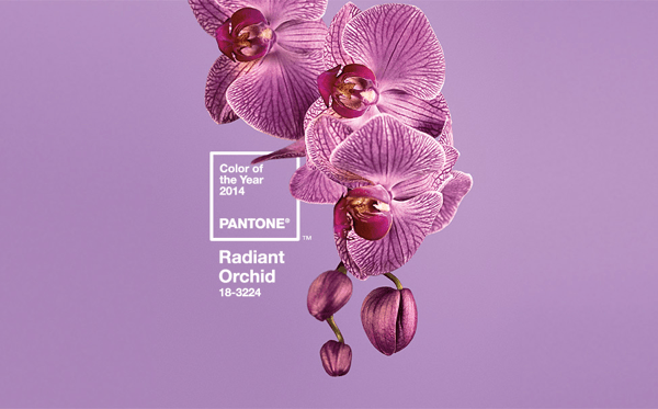 Pantone Color of the Year 2014 Radiant Orchid