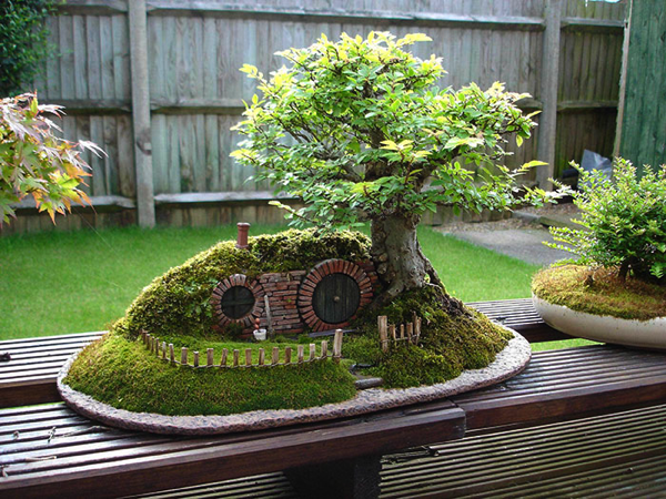 Most Beautiful Bonsai Trees