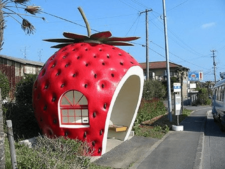 Bus Stops