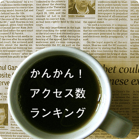 2010年12月 人気の記事はこれだ！ イメージ