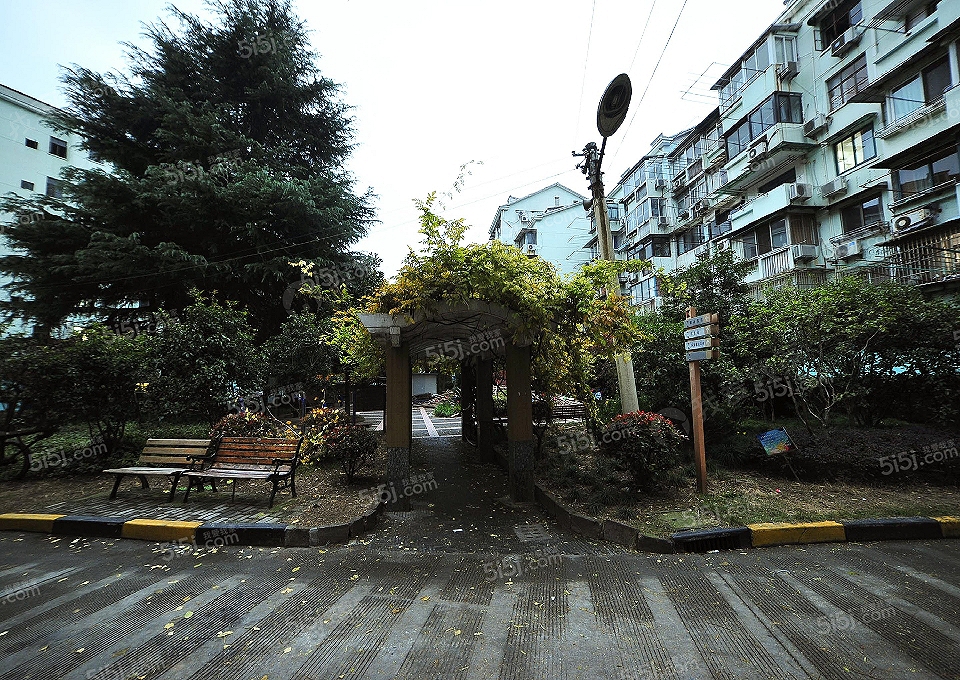 曹杨五村-杏梅园