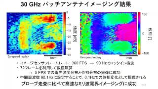 奈良先端大、高周波電界“見える化”　通信機器の性能評価