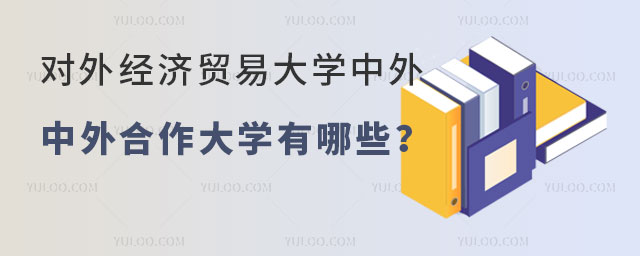 对外经济贸易大学中外合作大学