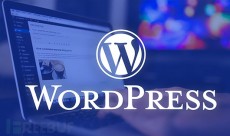 外贸独立站 WordPress SEO优化的28个步骤