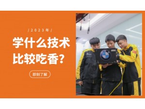 临港新城去哪学纯电混动汽车维修技术好