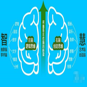 新智慧全脑教育-效率