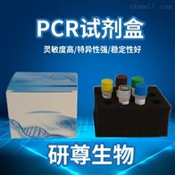 猪蓝耳病毒PCR核酸检测试剂盒