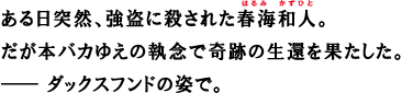 ある日突然、強盗に殺された春海和人。だが本バカゆえの執念で奇跡の生還を果たした。― ダックスフンドの姿で。