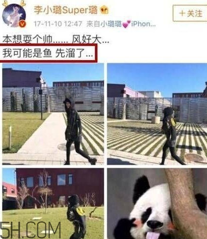 我可能是鱼什么梗？李小璐我可能是鱼什么意思