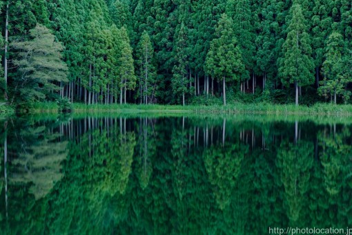 龍王ヶ淵の水面