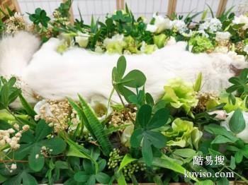 漳州诏安宠物死后处理 宠物殡葬