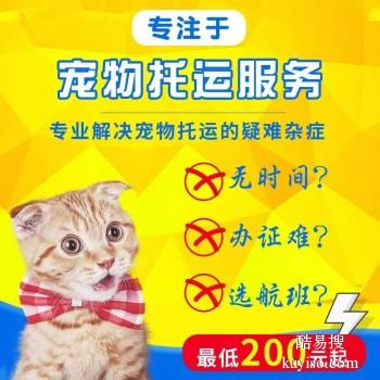 新乡 宠物托运小猫小狗邮寄活体运输上门接送代办检疫证