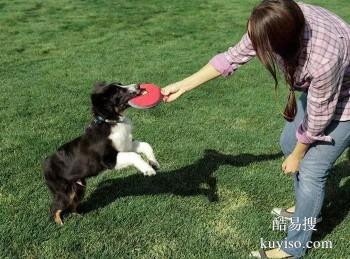 遵义道真训犬上门训练 警犬训练基地 免费接送上门