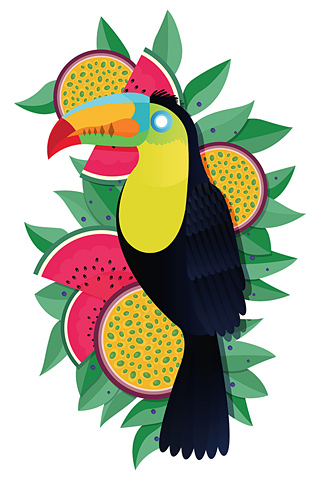 Toucan by James Boast