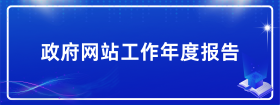 政府网站工作年度报告