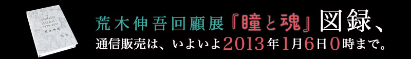 荒木伸吾回顧展『瞳と魂』