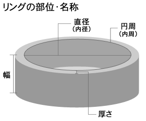 リング部位説明