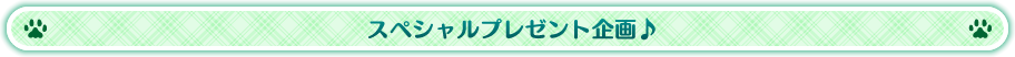 スペシャルプレゼント企画♪