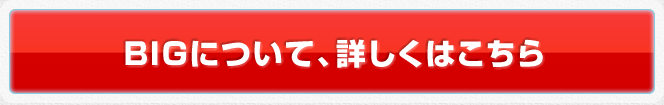 BIGについて、詳しくはこちら