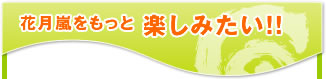 花月嵐をもっと楽しみたい！！