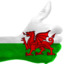 welsh-n-stuff