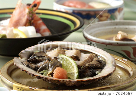 あわび　アワビ料理　高級料理　高級食材　貝　魚貝類　刺身　アワビ刺身　和食　日本料理 7624667