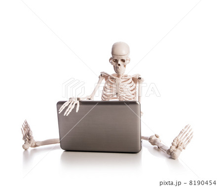 Skeleton working on laptop 8190454