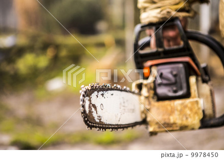 Man sawing a log in his back yard 9978450