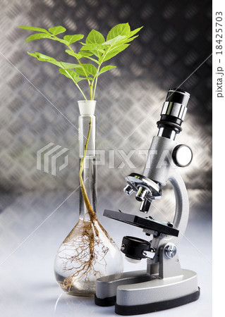 Chemical laboratory glassware, bio organic  18425703