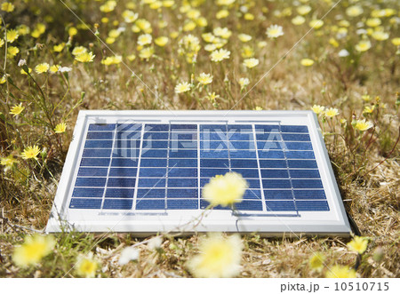 Solar panel lying on meadow with flowers 10510715