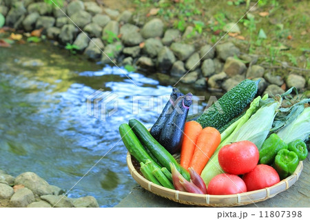 瑞々しい夏野菜と涼しげな小川 11807398