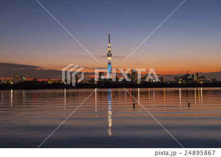 夕焼けに佇む東京スカイツリー　荒川河川敷から 24895867