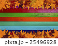 maple leaves and multicolored background 25496928