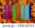 maple leaves and multicolored background 26816534