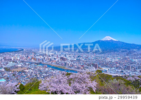 香貫山から見た富士山と桜 29959439