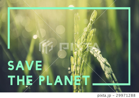 Save Earth Planet World Concept 29971288