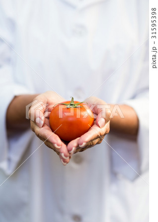 Scientist holding tomato at greenhouse 31595398