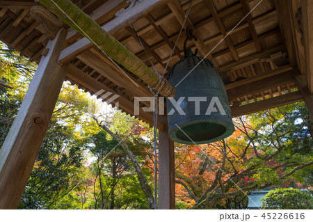 紅葉 根香寺(四国第八十二番札所) 45226616