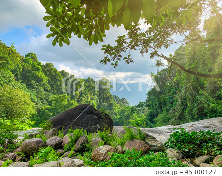 Beautiful forest and mountain with blue sky  45300127