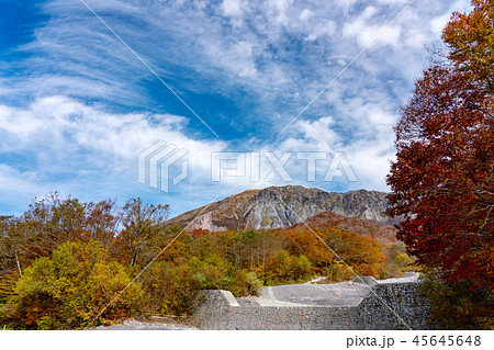 伯耆大山　秋の二ノ沢 45645648