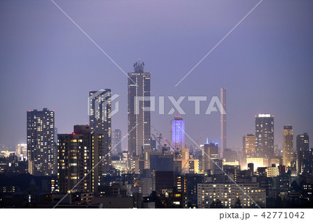 日本の東京都市景観　池袋の超高層ビル群などを望む（夜景） 42771042