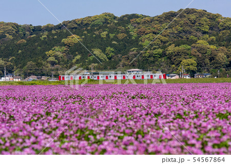 一貴山駅付近の田園風景 54567864